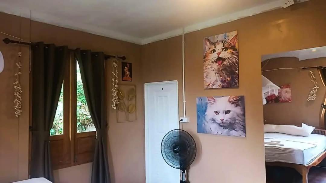 Salamao Bungalow Tau-sziget Kültér fotó